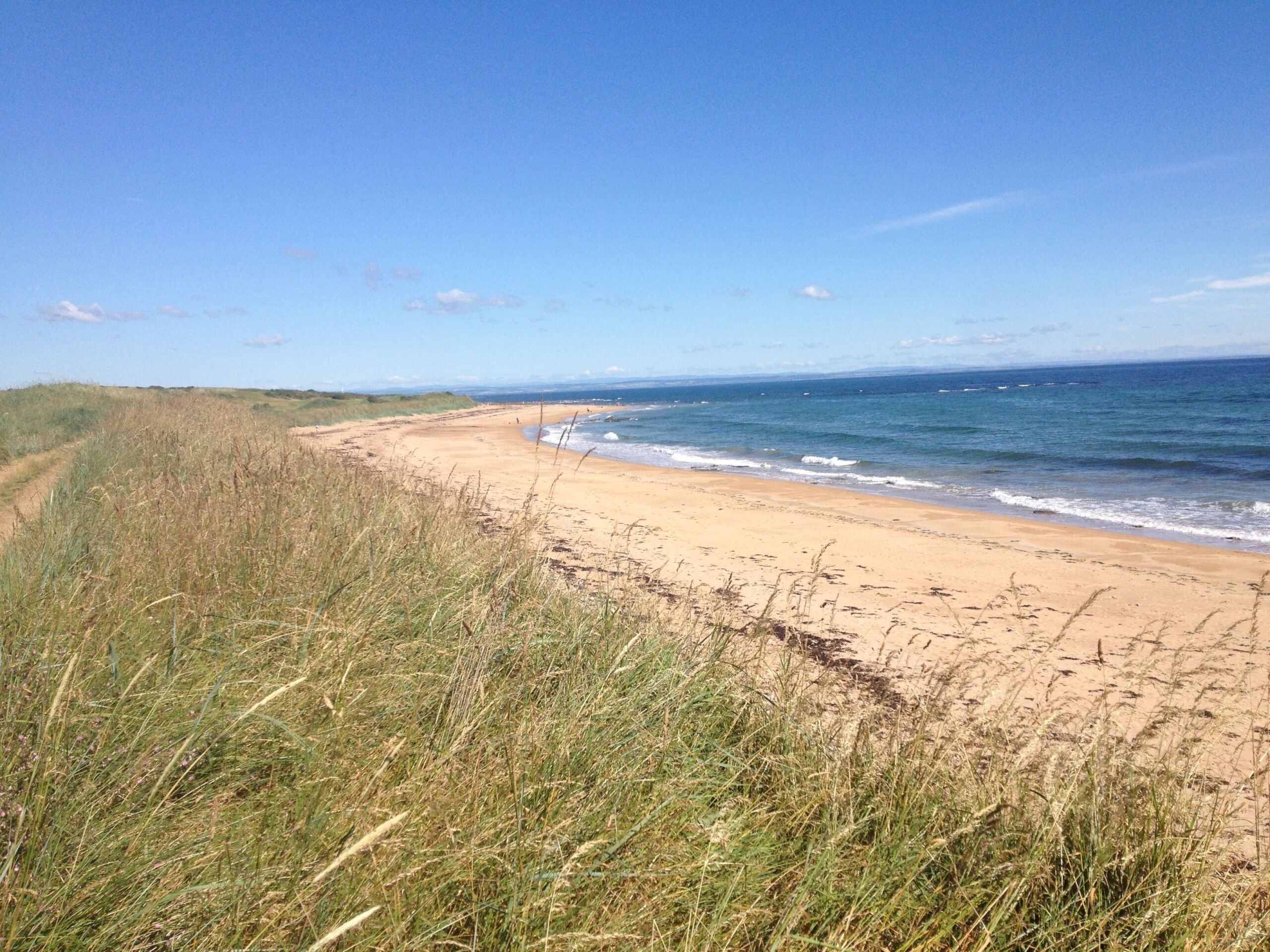 A yellow sand beach with grass and blue water