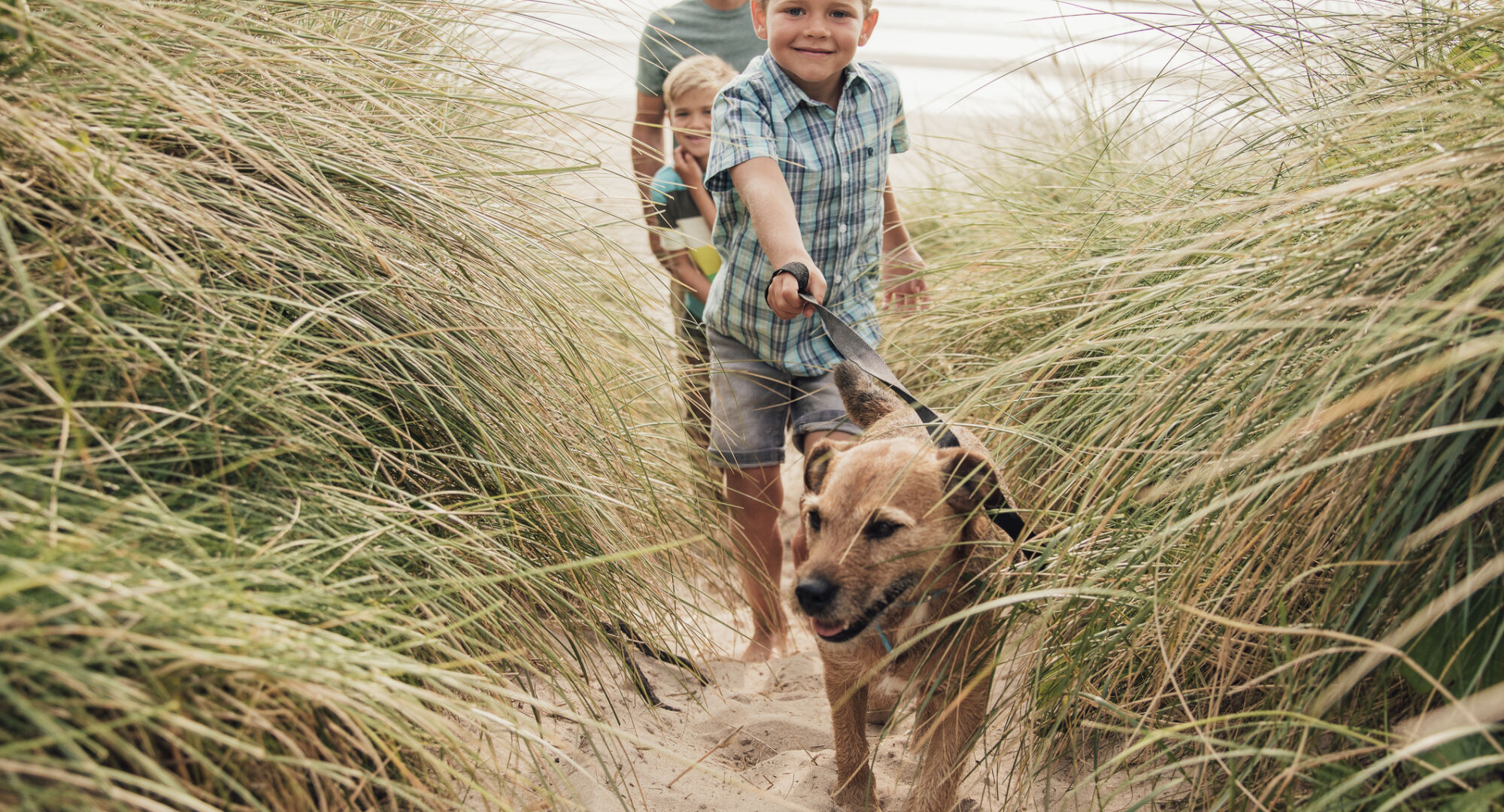 Low angle view of a little boy and his family walking the dog through the sand dunes