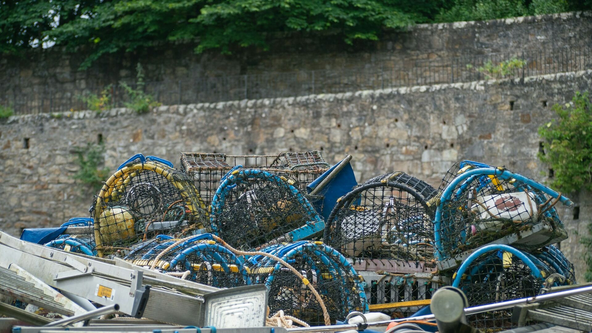 Lobster cages on the back of a boat