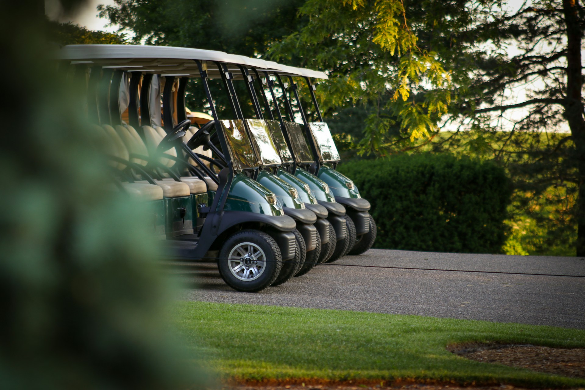 A row of dark green golf buggies