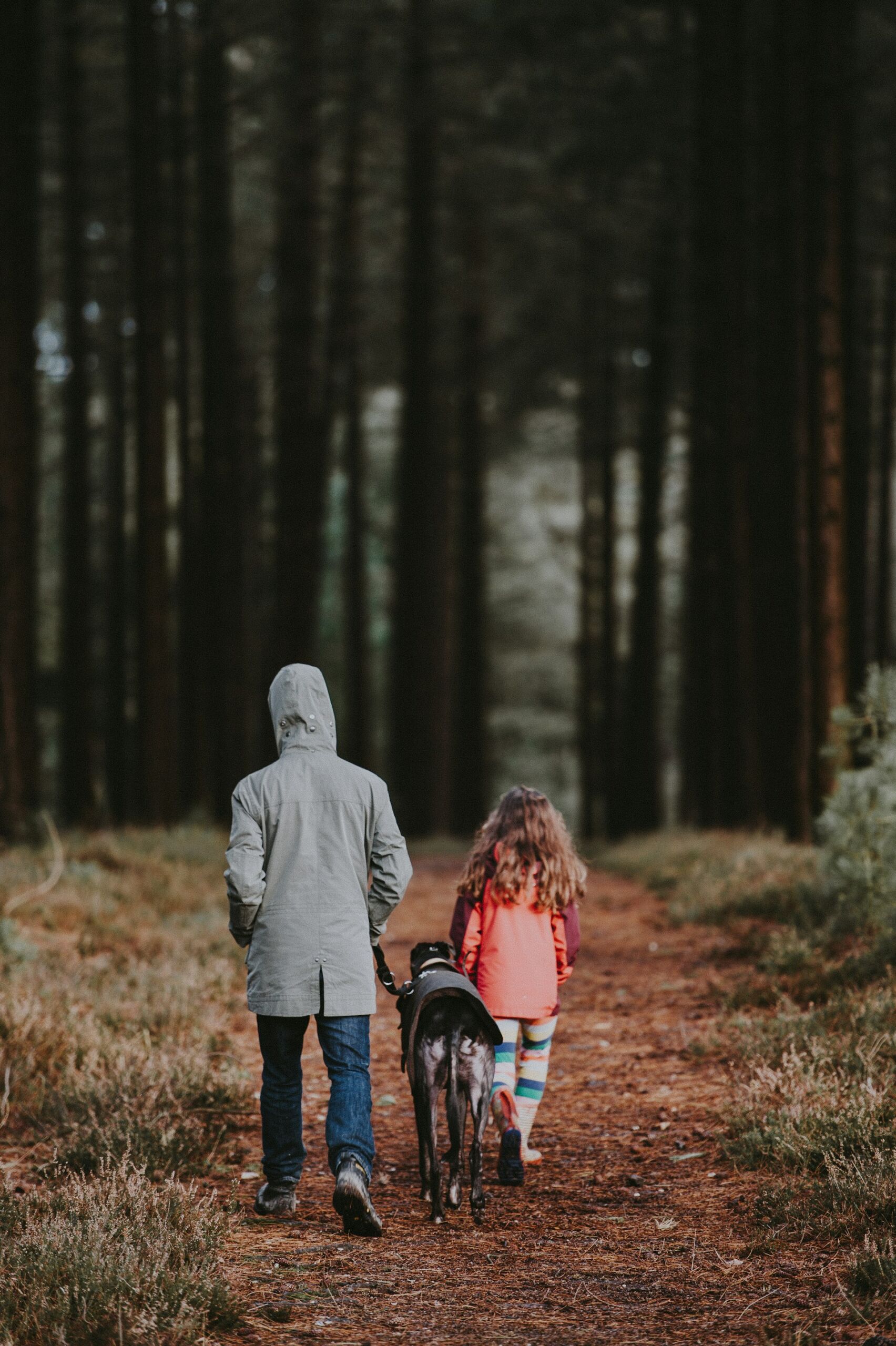 A family walking a dog through a forest