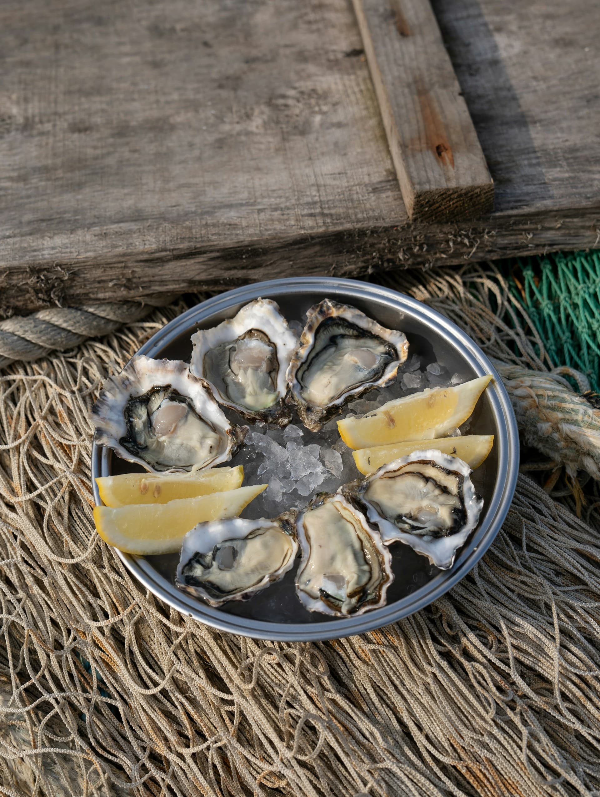 A metal dish filled with oysters and slices of lemon on a dried grass surface